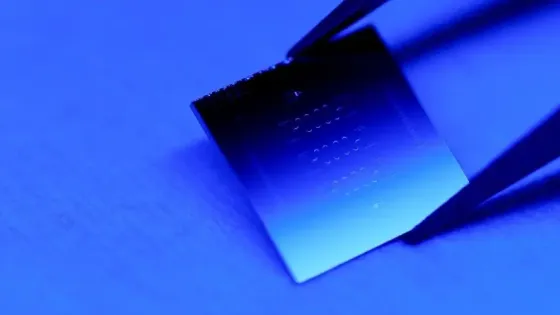 2897cffd-7b66-4d4d-a9e7-1c495cb4ff39