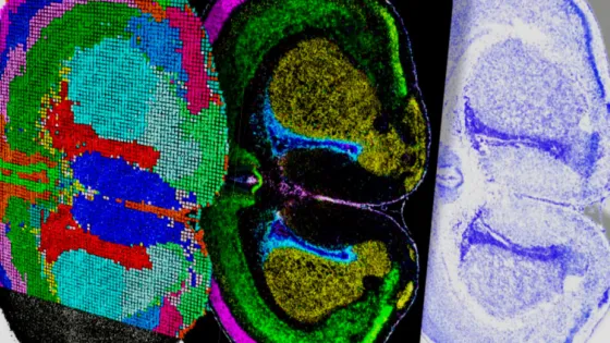 690d135f5804c_img_tablet