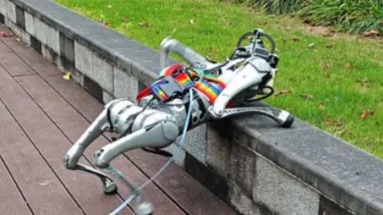 01K9WRZ4WGXFNNQ9C1NGAB2W9Z-v1