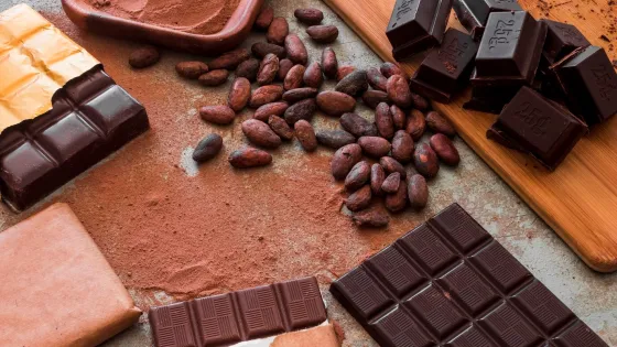 overhead-view-chocolate-bars-with-cocoa-powder-raw-beans_23-2147867159