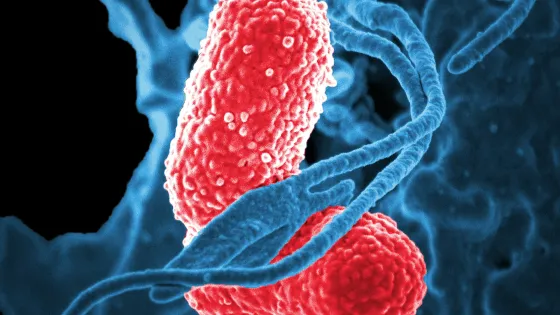 cdc-2-Hv-Rg4asA-unsplash