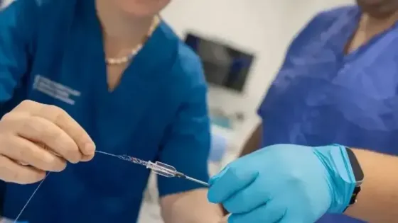 01K9Z812Z7FD2G908NWK9DE2P6-v1