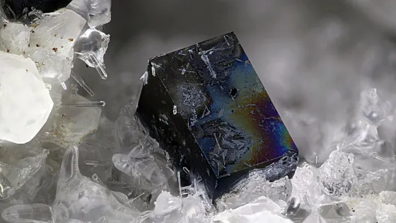 5e2a317db24ec8bd1142a31395cc5267