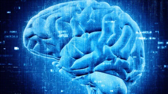 01KA9PXQFDBR3MYBPEJRMMM9C7-v1