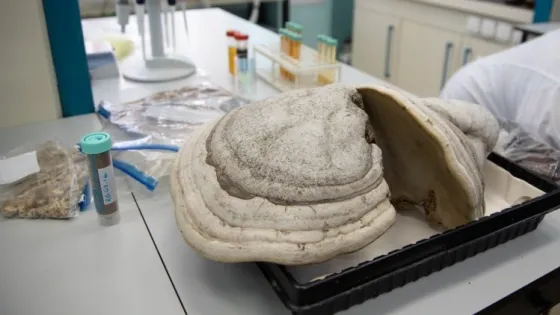 01KAERWESW4F77F0VJJYVSKWTE-v1