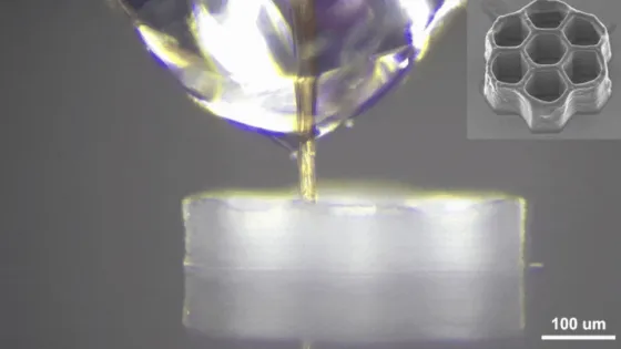 Снимок экрана 2025-11-20 в 20.54.39