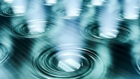 8e304e54-7e77-4c85-a2f1-7e63333b6035