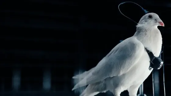 07ddb549-e017-42bf-aac3-ecccf79e5d95