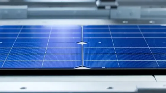 0ed31f36-920d-4047-8f1c-5033a7aecb59