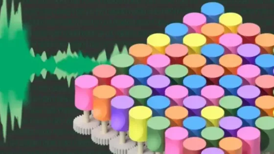 cab6207c-29d6-456c-8b67-b765f372ed67