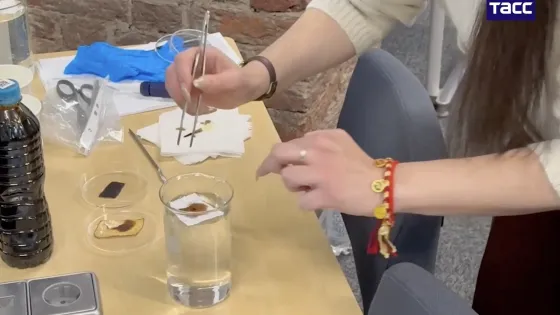 Снимок экрана 2025-11-28 в 23.53.40