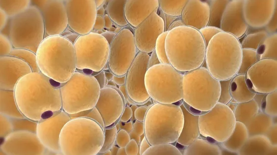 Снимок экрана 2025-11-30 в 22.01.45