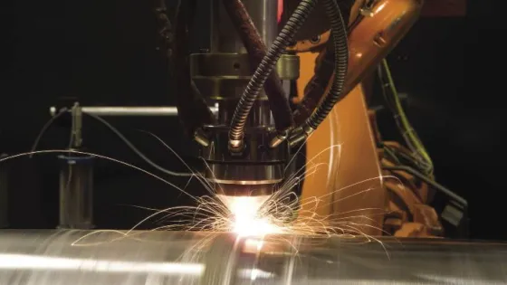 Avtor_F_W_Gartner_Istochnik_Istochnik_ImageSource_io