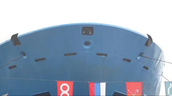 01KBDN32GV5TK3GTB2DJ5CVKC5-v1