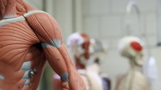 1e735eca-e400-4b5c-96a8-817545c39e4f