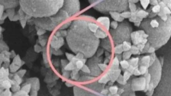 01KBG2D3NJ8BKDHC0H8GTG146N-v1