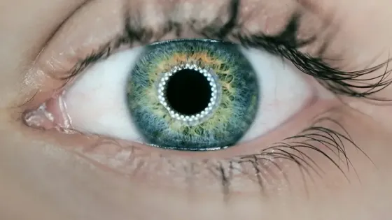 62b939e9-019c-4b10-8d51-8b3e306b490e