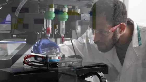 Отрастить неотращиваемое: как ученые из России хотят научить человеческий организм регенерировать подобно аксолотлю