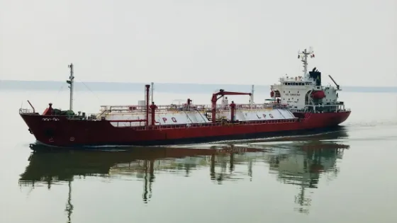 2304031455018281_small