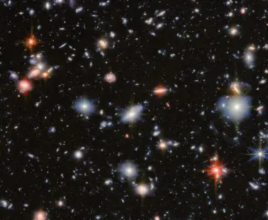 Қабанның сипаттамасы бар секс