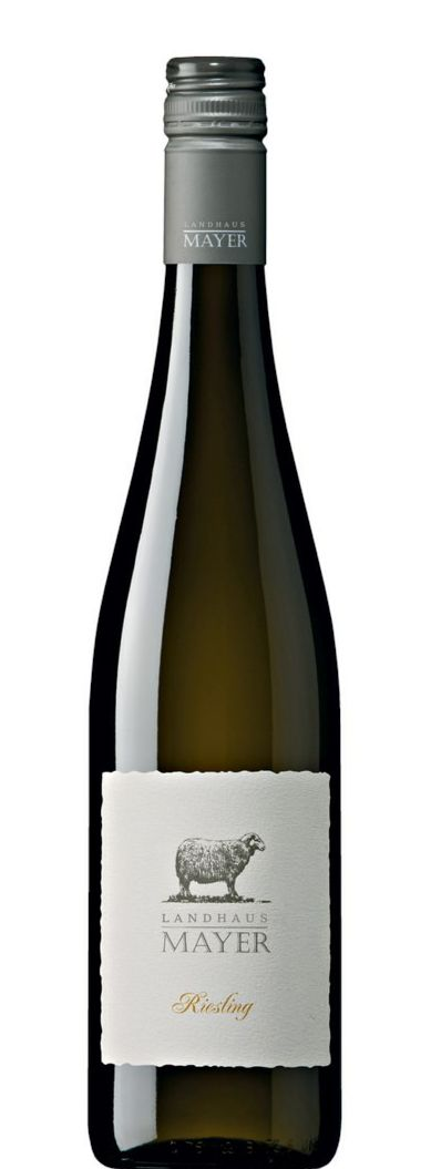 Landhaus Mayer Riesling