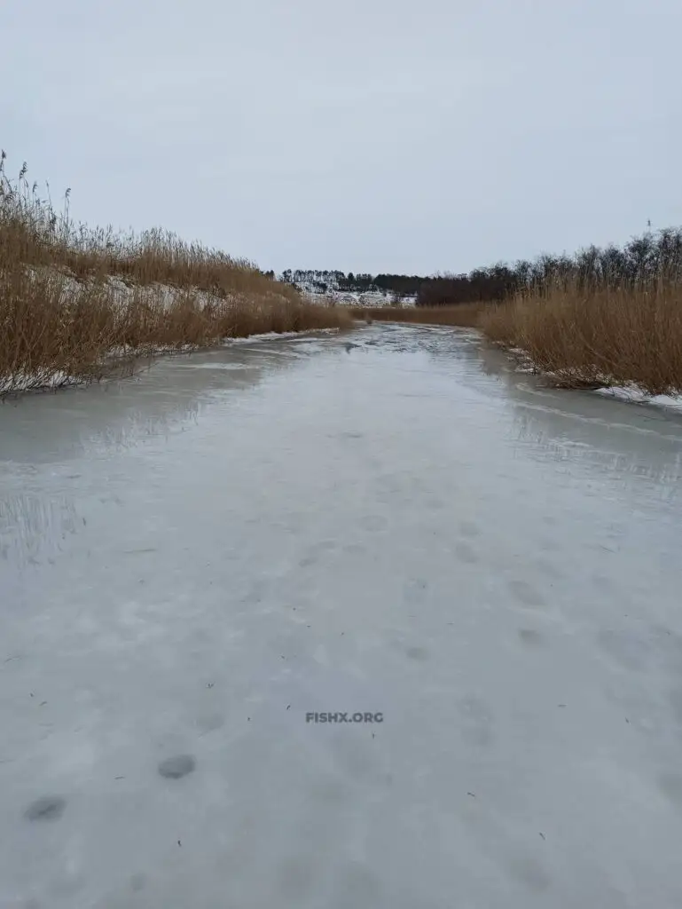 Плотный и мутный лед покрытый водой