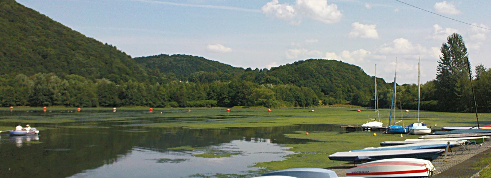 Hengsteysee 2008 Wasserpest 1