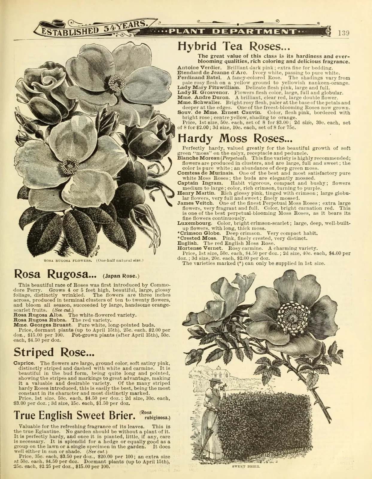 Everything for the garden (16668109789)