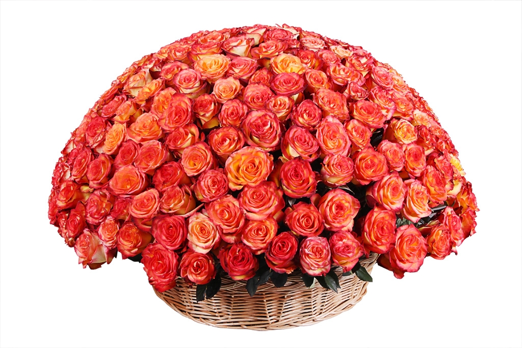 Букет 301 роза Хай Мэджик в корзине купить в Москве. Сайт floral-tale
