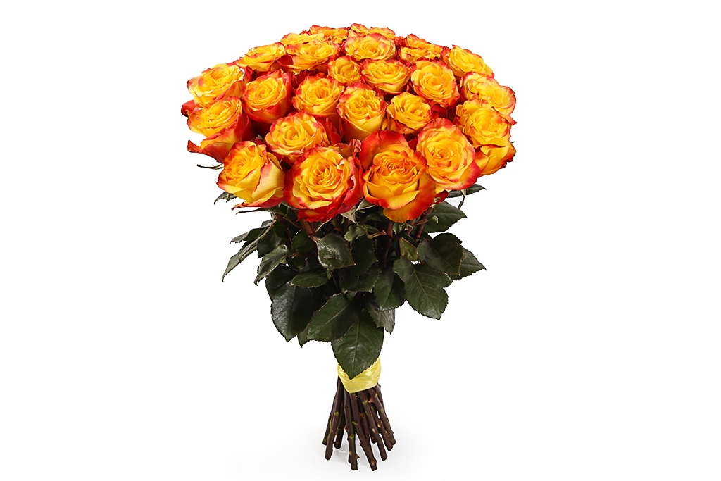 Букет 25 роз Хай Еллоу - купить в Москве: цены, круглосуточная доставка - Цветочная сказка