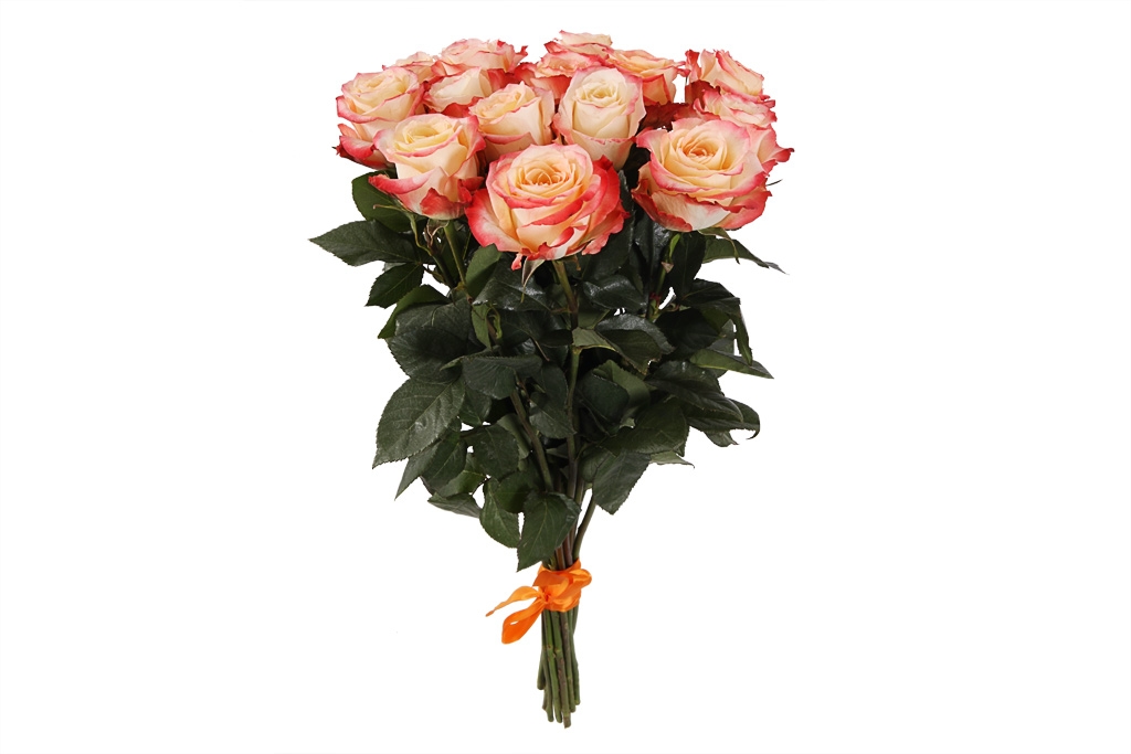 Букет 15 роз Кабаре недорого купить. Москва - floral-tale