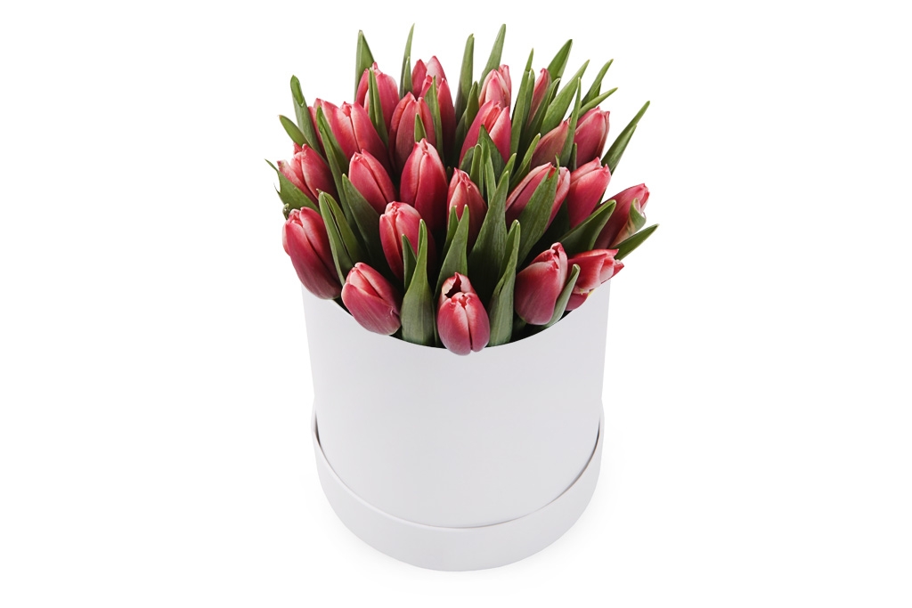 Букет 25 королевских тюльпанов в белой коробке, алые купить в Москве - Floral-Tale.ru