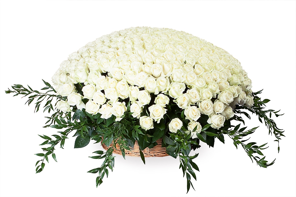 Купить букет 501 роза Аваланш в корзине в Москве. Floral-tale