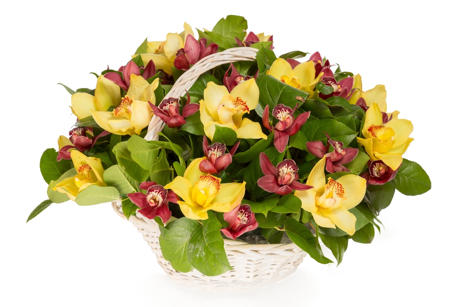 Букет с орхидеями Крошка Доррит в корзине купить в Москве. Floral-tale