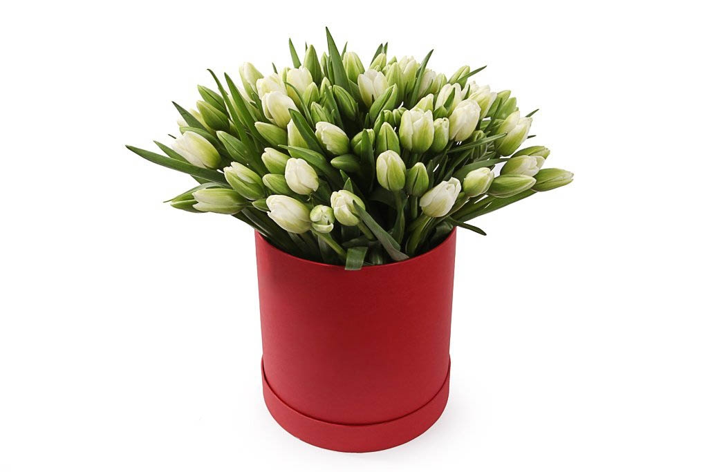 Букет 101 тюльпан в коробке, белые купить недорого в Москве - ФлоралТейл