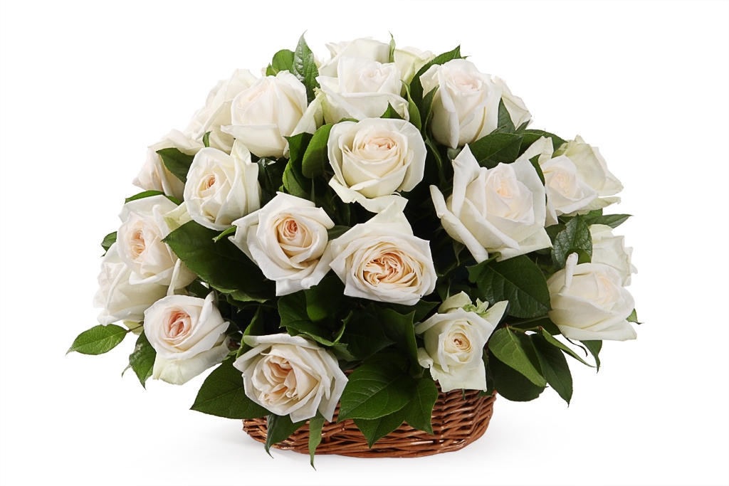 Букет 35 роз Вайт О'Хара в корзине - купить в Москве: цены, круглосуточная доставка - Цветочная сказка
