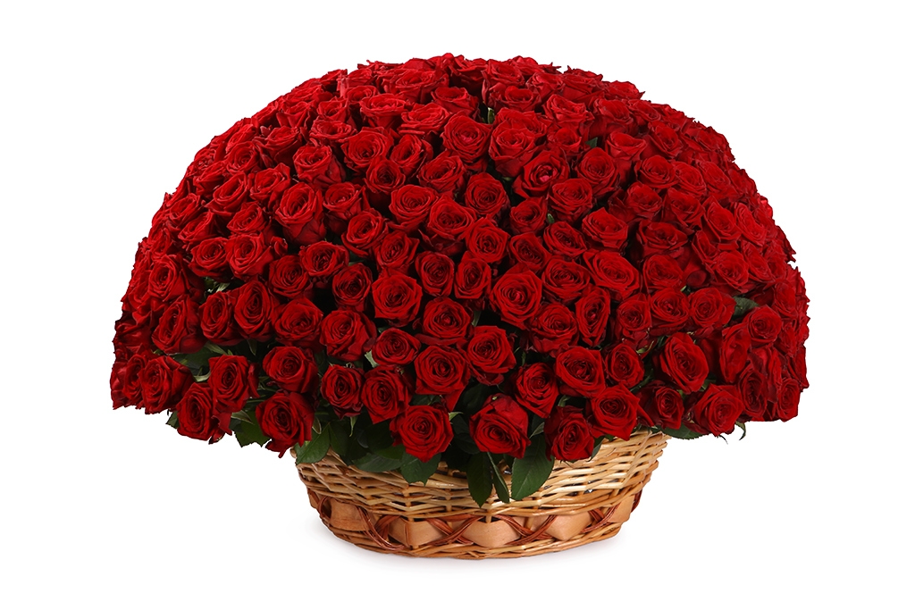 Купить букет 251 роза в корзине в Москве. Floral-tale