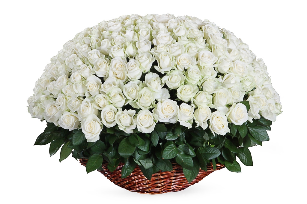 Купить букет 251 роза Аваланш в корзине в Москве. Floral-tale
