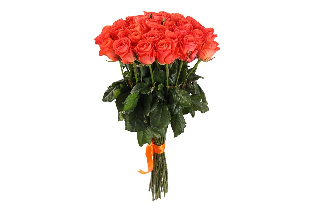 Букет 31 роза Вау купить в Москве. Сайт floral-tale