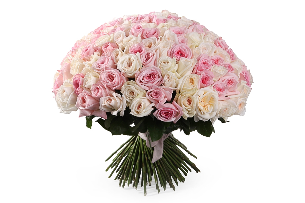 Букет Любовный нектар (151 роза О’Хара) в Москве. Купить на floral-tale
