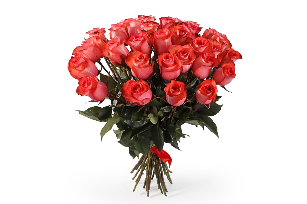 Букет 35 роз Игуана, коралловые - купить в Москве: цены, круглосуточная доставка - Цветочная сказка