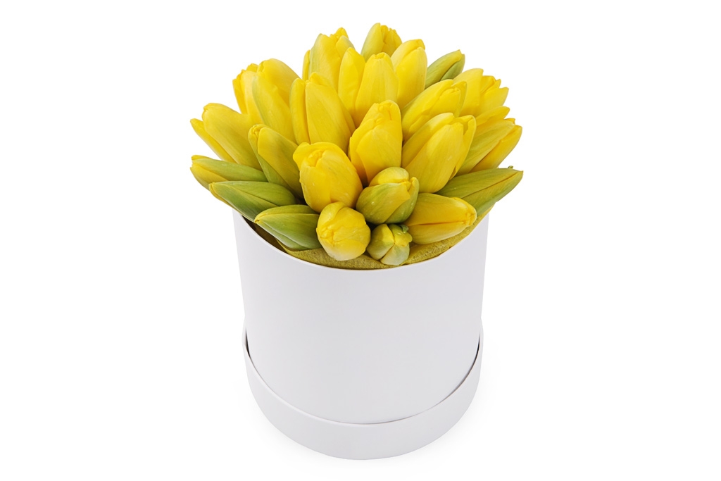 Букет 25 королевских тюльпанов в белой коробке, желтые купить в Москве - Floral-Tale.ru