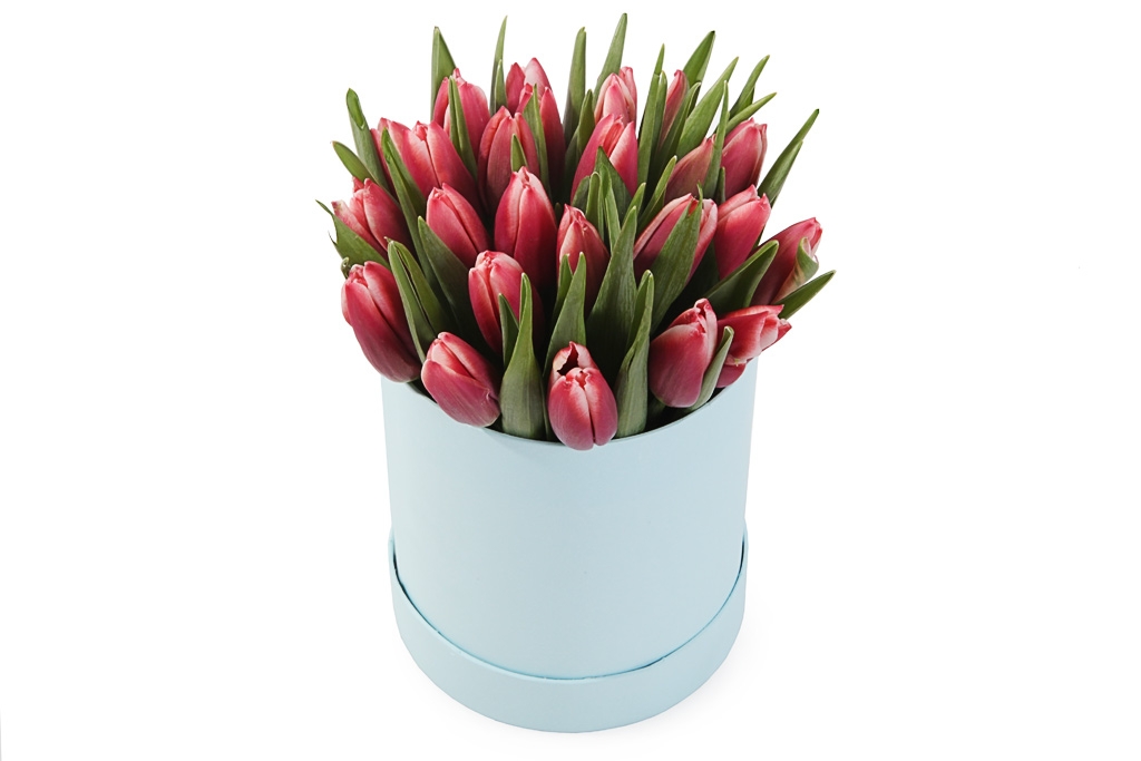 Букет 25 королевских тюльпанов в коробке, алые купить в Москве - Floral-Tale.ru
