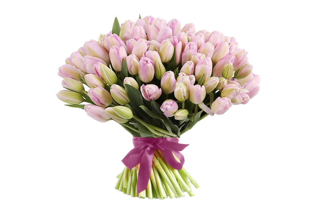 Букет 101 королевский тюльпан, жемчужные купить в Москве - Floral-Tale