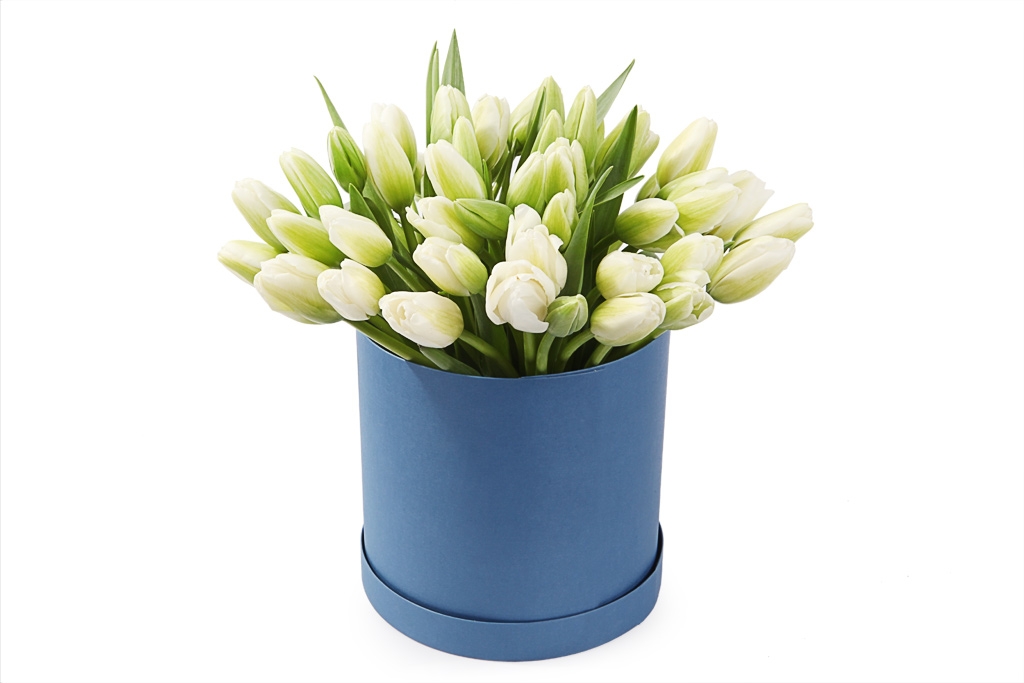 Букет 51 тюльпан в коробке, белые купить в Москве - Floral-Tale
