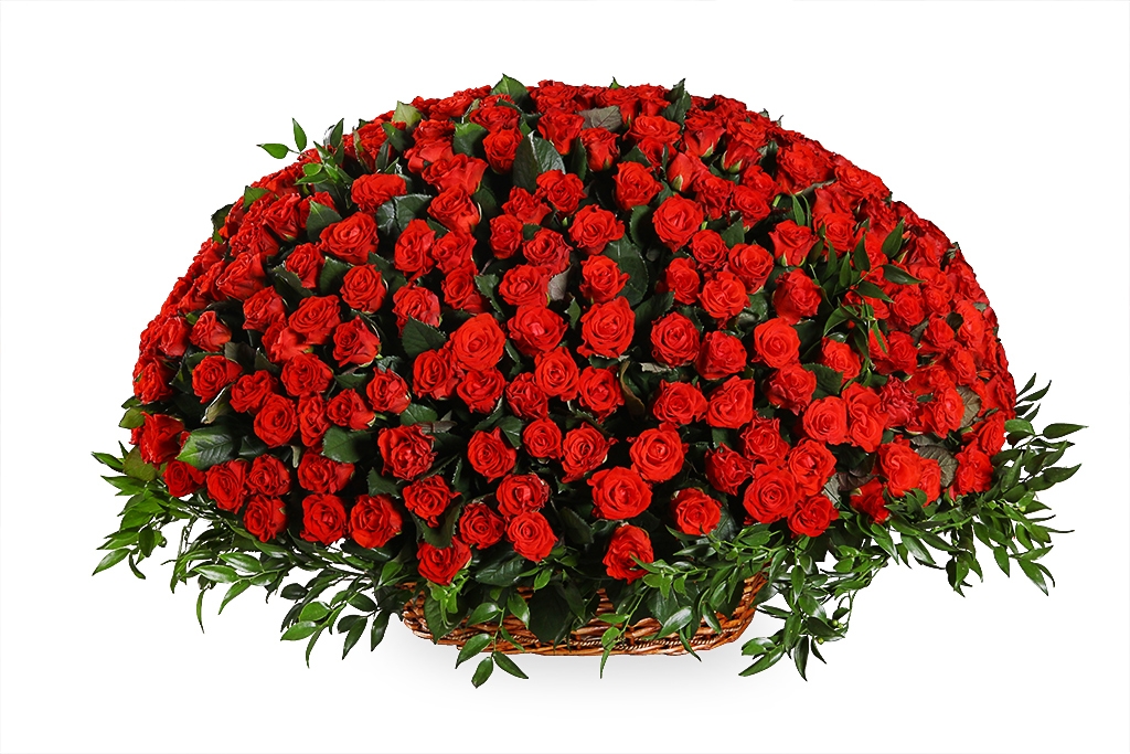 Купить букет 501 роза в корзине в Москве. Floral-tale