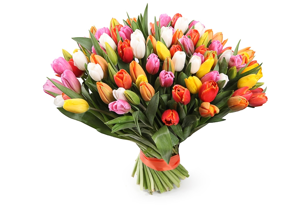 Букет 101 тюльпан, радужный микс купить в Москве - Floral-Tale
