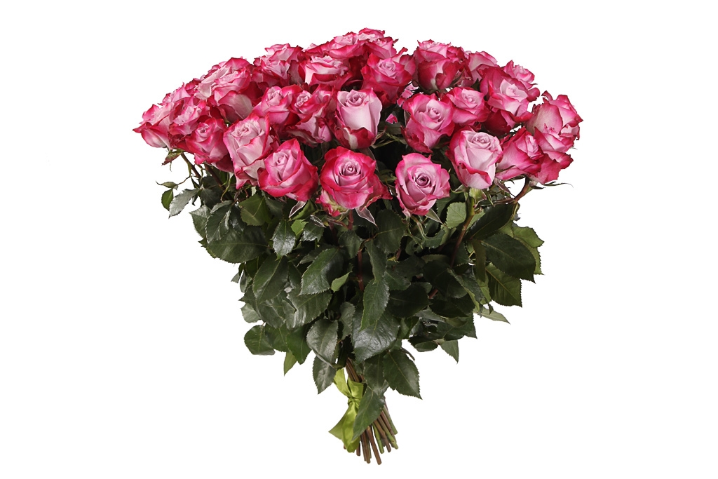Букет 41 роза Дип Перпл - купить в Москве: цены, круглосуточная доставка - Цветочная сказка