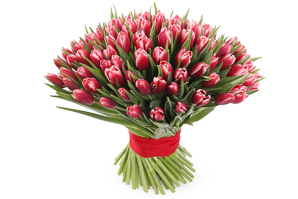 Букет 101 королевский тюльпан, алые купить в Москве - Floral-Tale