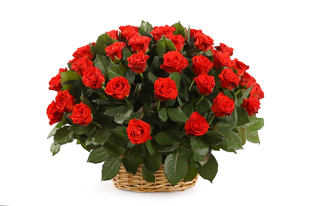 Букет 51 роза в корзине, 50 см - купить в Москве: цены, круглосуточная доставка - Цветочная сказка